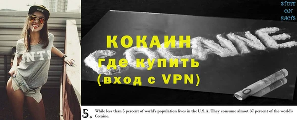 твердый Лиски