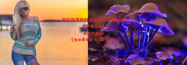 ГАЛЛЮЦИНОГЕННЫЕ ГРИБЫ Ладушкин