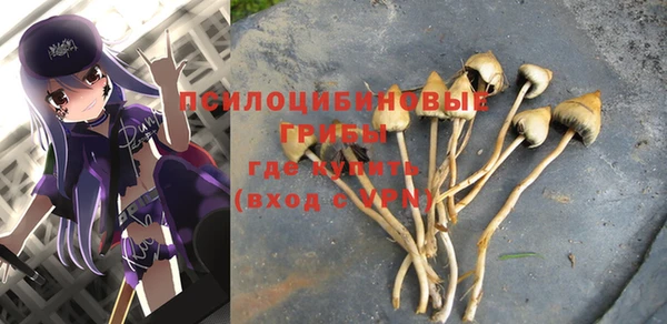 твердый Лиски