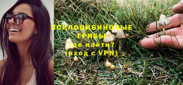 твердый Лиски