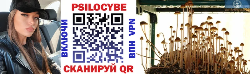 Галлюциногенные грибы прущие грибы Янаул
