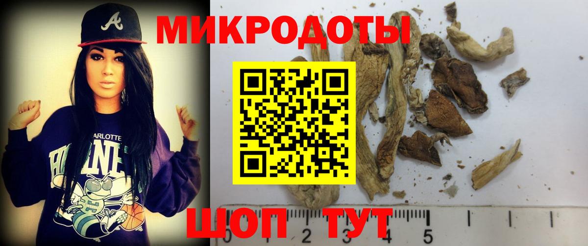 Псилоцибиновые грибы Psilocybe Янаул